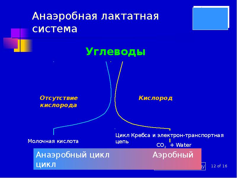 Аэробный это. Анаэробный режим. Анаэробная лактатная выносливость. Аэробный и анаэробный режим тренировки. Анаэробный ресинтез (лактатный и алактатный)..