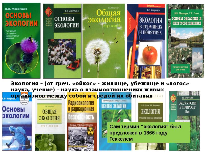 Презентация основы экологии 9 класс