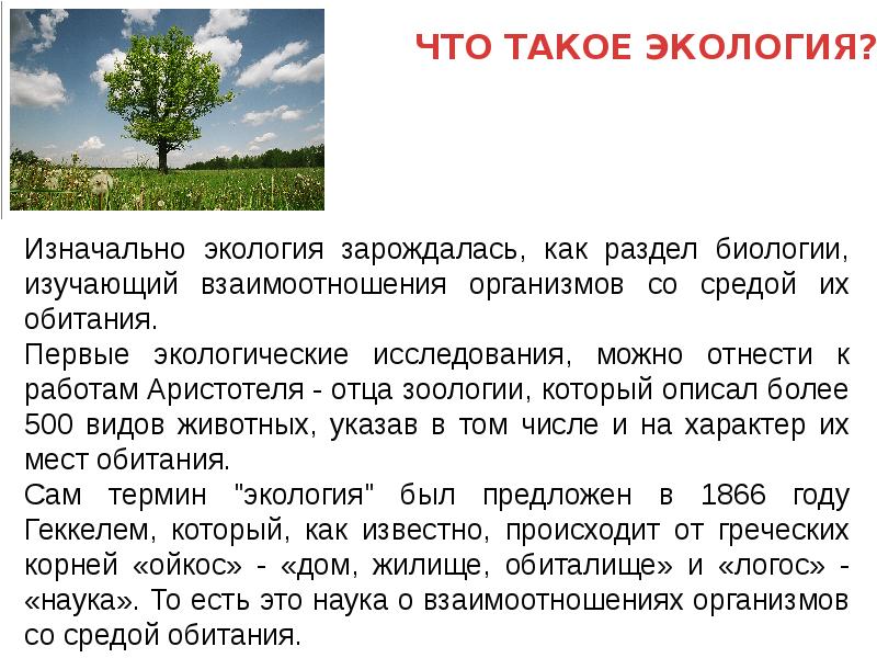 Что такое экология 3 класс окружающий мир презентация школа россии