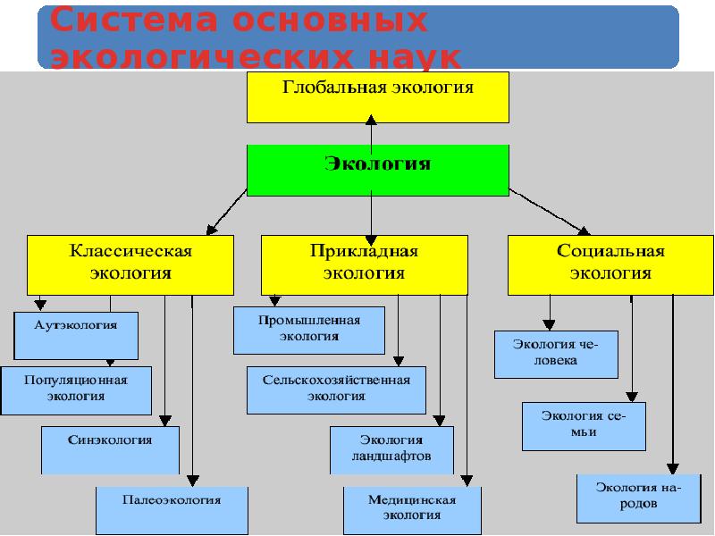 Экологические основы презентация