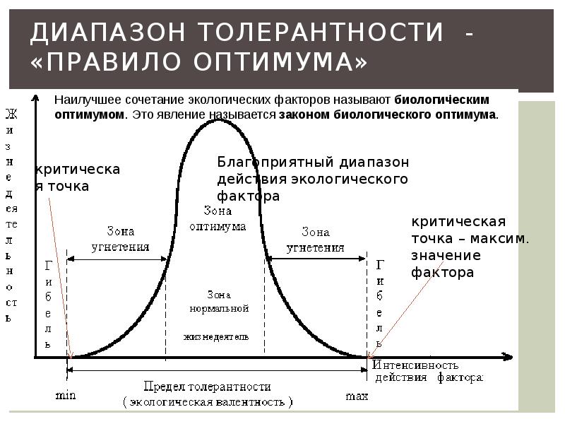 Оптимальный фактор это. Закон оптимума экология. Правило экологического оптимума. Зона оптимума экологического фактора. Закон оптимума критические точки.