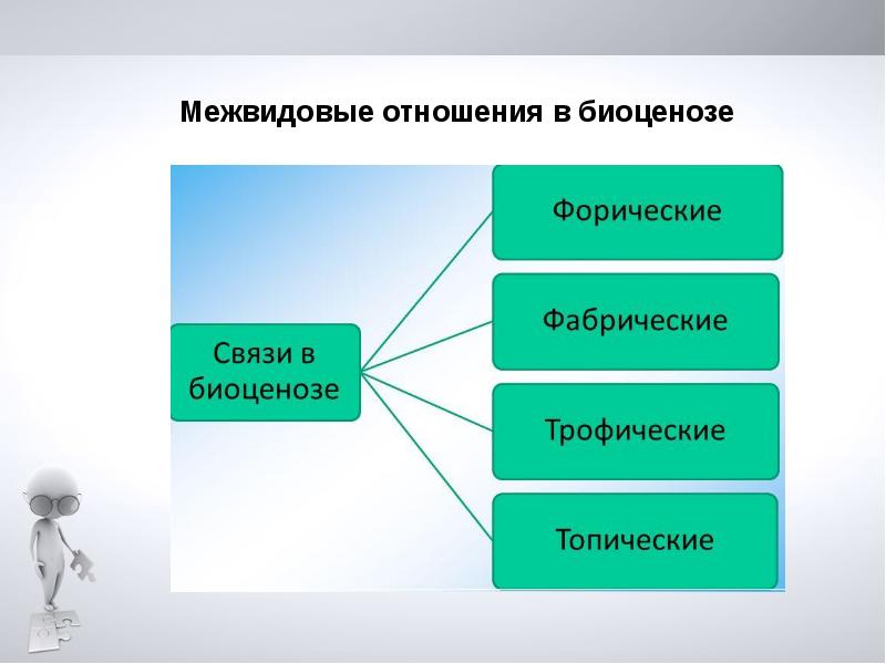 Презентация основы экологии 9 класс