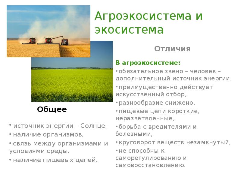 Общие признаки для природной и искусственной экосистемы. Агроэкосистема отличается от экосистемы. Круговорот веществ в природной экосистеме и агроэкосистеме. Свойства агроэкосистемы. Незамкнутый круговорот веществ.