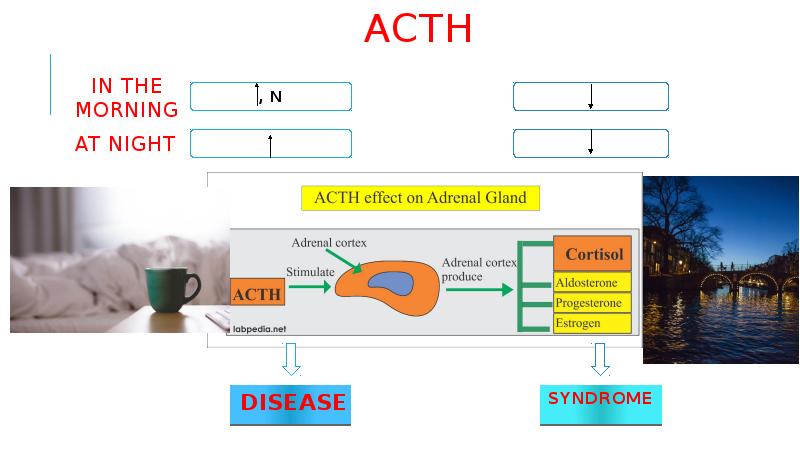 IN THE MORNING DISEASE