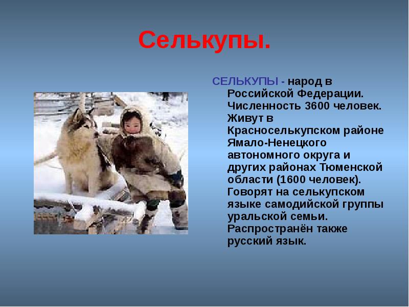 Селькупы.
СЕЛЬКУПЫ - народ в Российской Федерации. Численность 3600 человек. Живут Селькупы.
СЕЛЬКУПЫ - народ в Российской Федерации. Численность 3600 человек. Живут