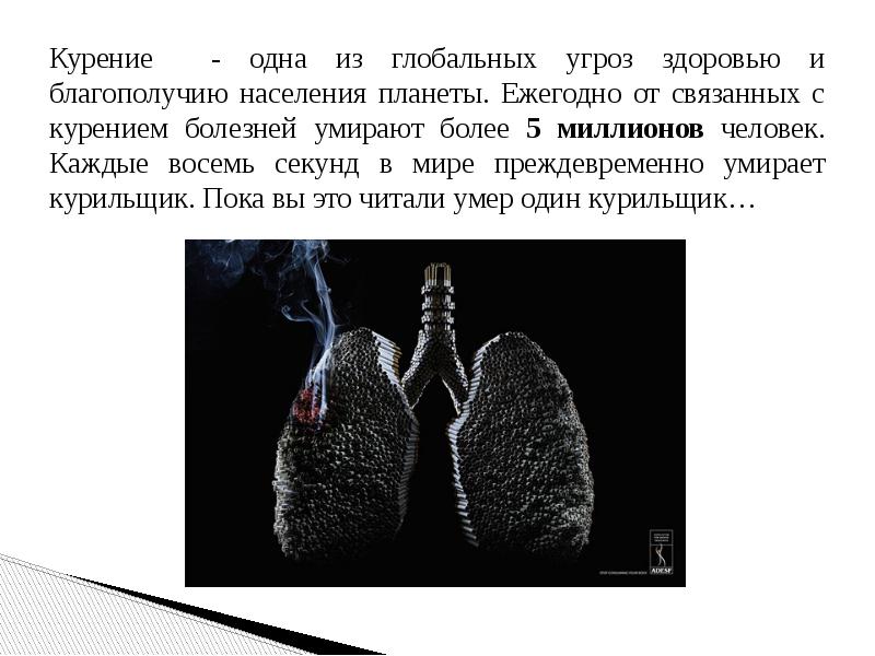 Исследовательский проект жить или курить