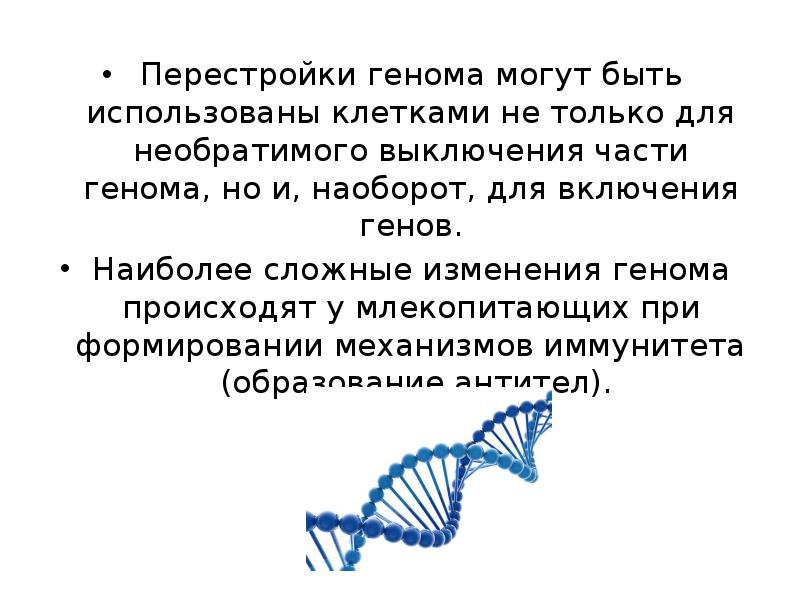 Перестройка генов