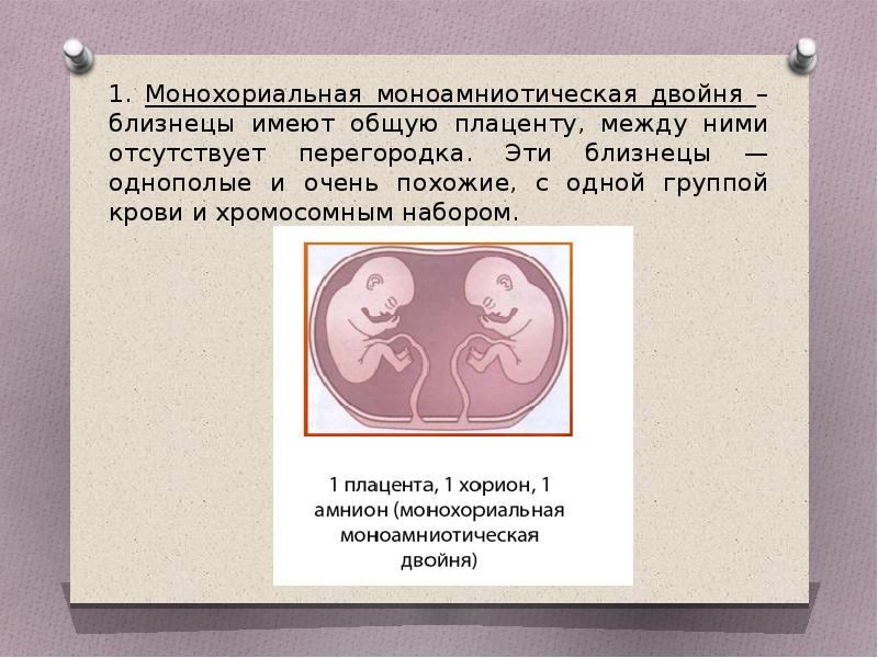 План ведения беременности при многоплодной беременности