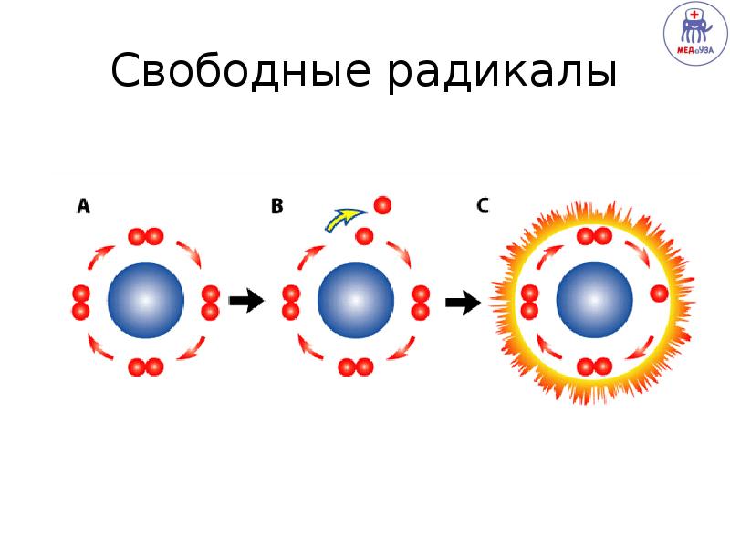 Свободные радикалы. Образование свободных радикалов. Свободный радикал образуется. Схема образования свободных радикалов.