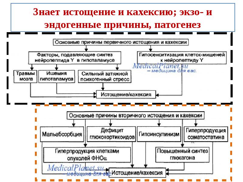 Синдром симмондса шиена презентация