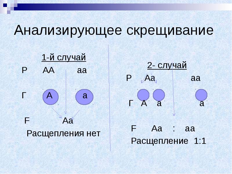 Анализирующее скрещивание