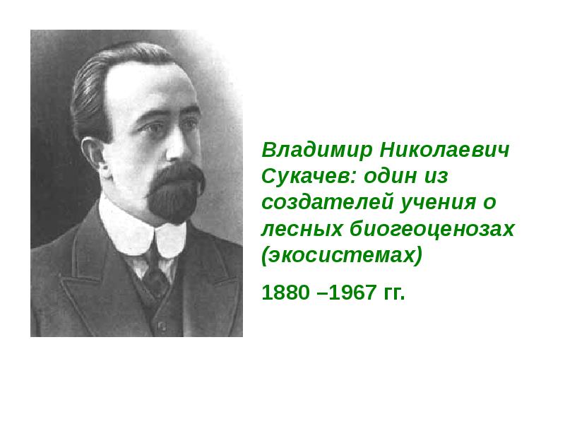 Сукачев владимир николаевич презентация