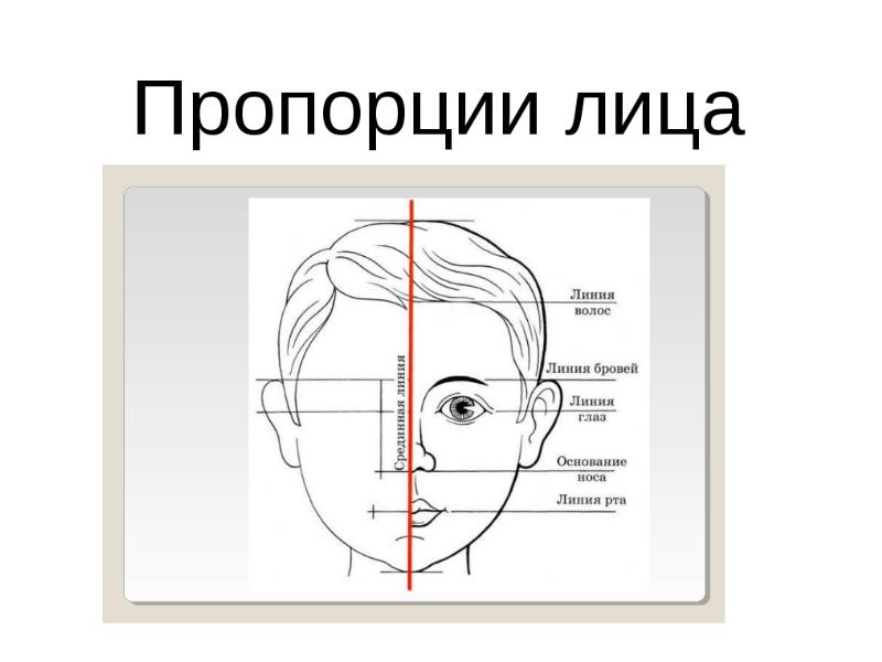 Лицо часть головы человека