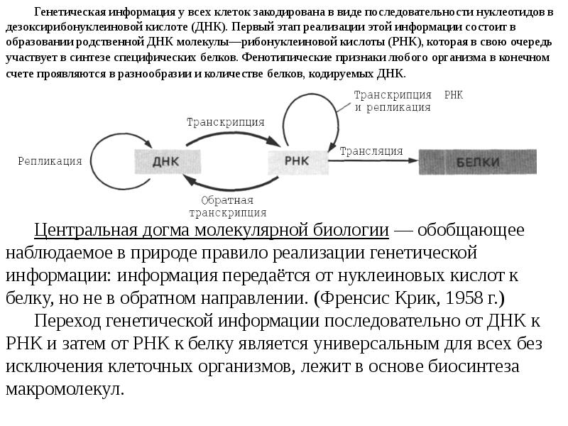 Реализация генетической. Центральная Догма молекулярной биологии Френсис крик. Схема реализации генетической информации в клетке. Схема реализации наследственной информации в клетке. Реализация генетической информации схема.