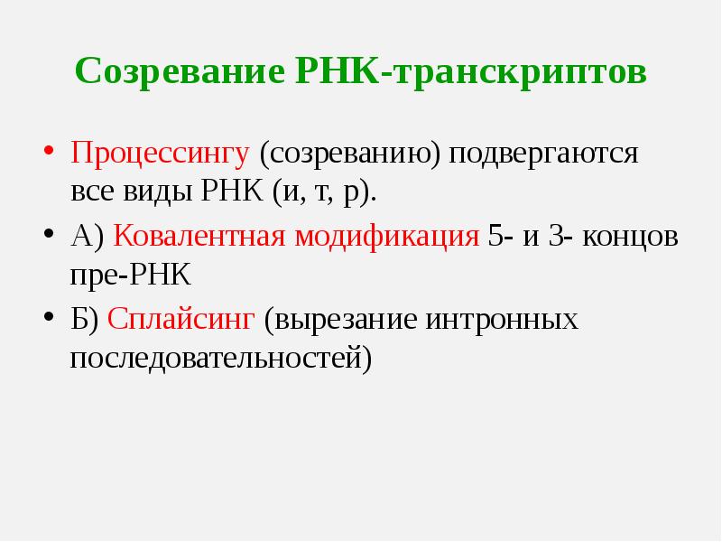 Синтез пре рнк