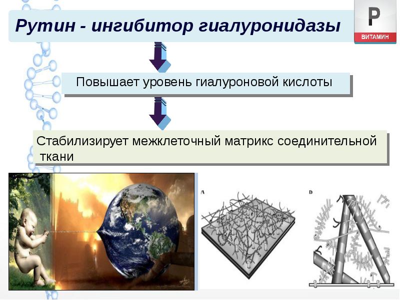 Рутин - ингибитор гиалуронидазы Рутин - ингибитор гиалуронидазы