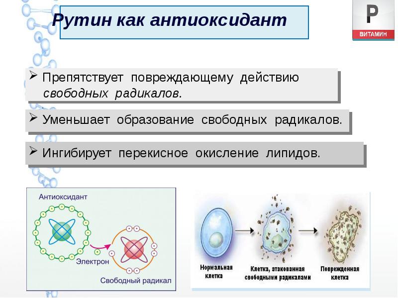 Рутин как антиоксидант Рутин как антиоксидант