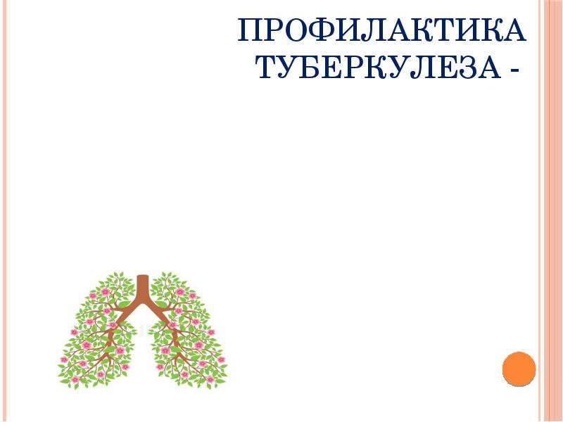 Профилактика туберкулеза презентация