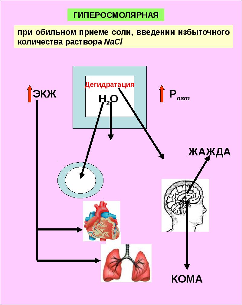 реакция образования аммиака. синтез аммонийных солей в почках. формула образования мочевой кислоты. ацилирование аминогруппы. образование солей в организме.