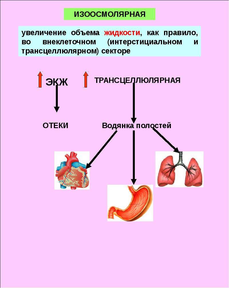 поступление солей в организм. образование солей в организме. минеральные соли в организме человека. поступление солей в организм. функции воды и минеральных солей в организме.
