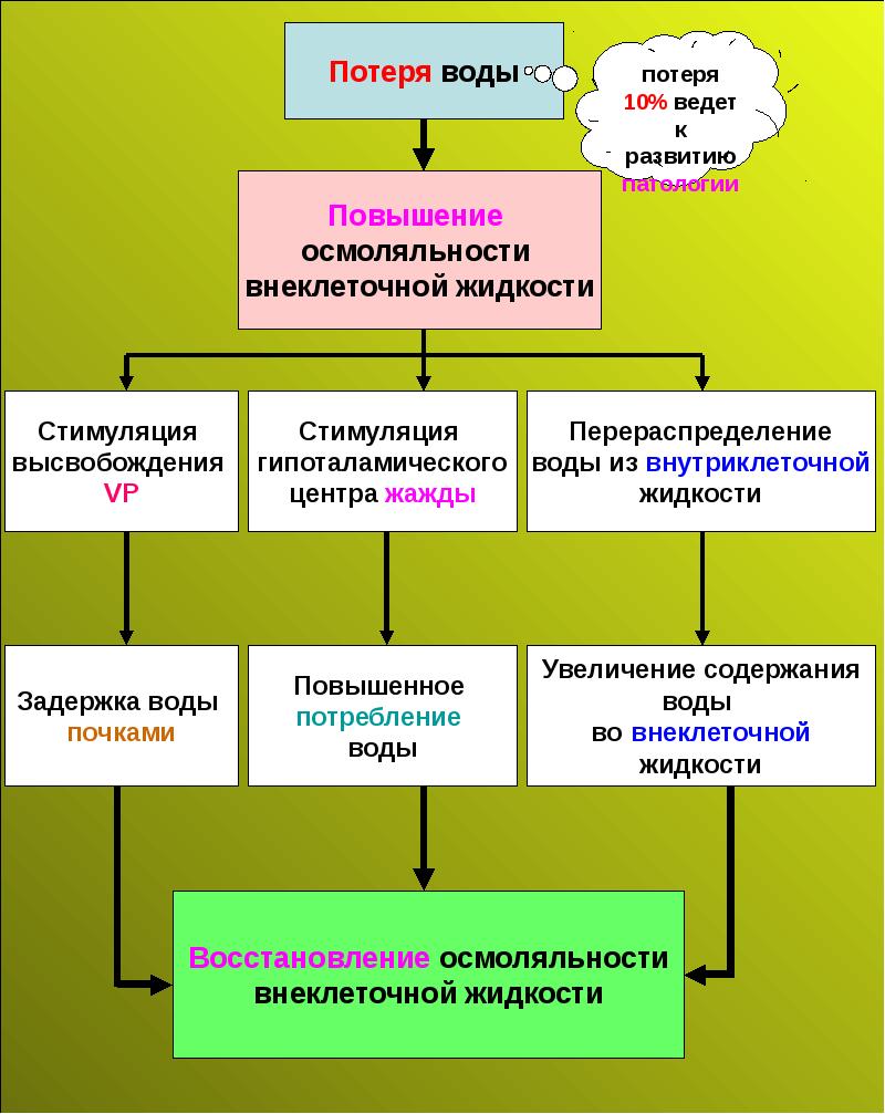 Процесс поступления. Процесс поступления воды в организм. Поступление воды в организм таблица. Основные источники поступления воды в организм. Назовите основные источники поступления воды в организм.