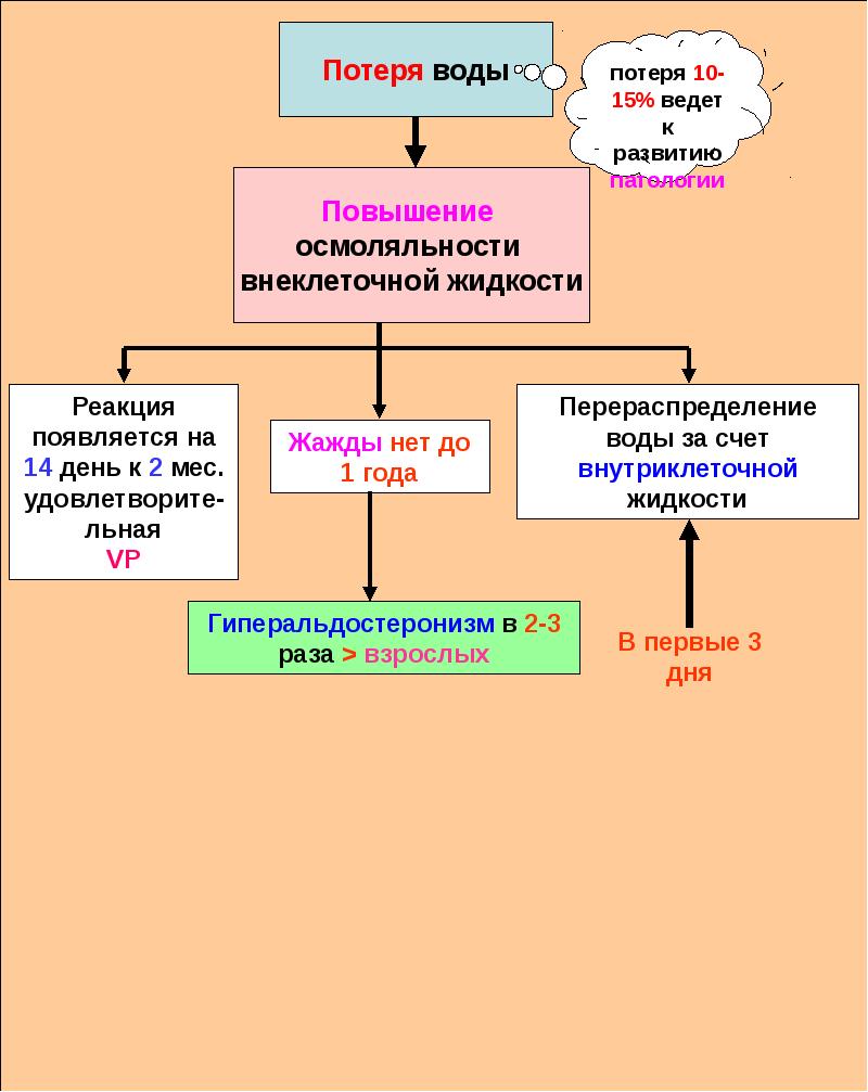 Обмен воды и минеральных солей презентация