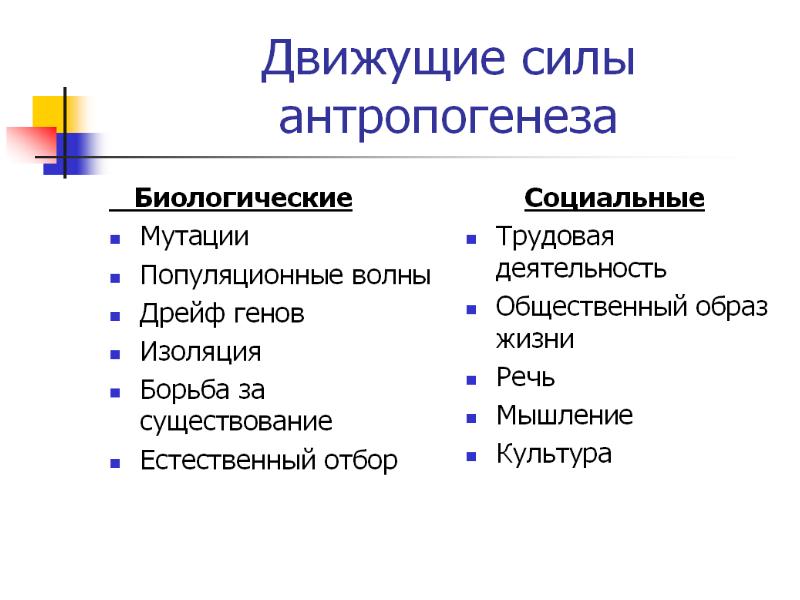 Презентация антропогенез человека