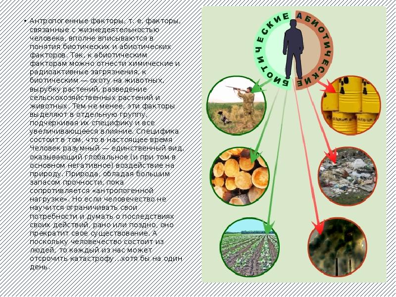 Следует факторам. Биотические факторы влияющие на организм человека. Биотические факторы риска окружающей среды для здоровья человека. Влияние абиотической среды на здоровье человека. Абиотические факторы среды влияющие на здоровье человека.