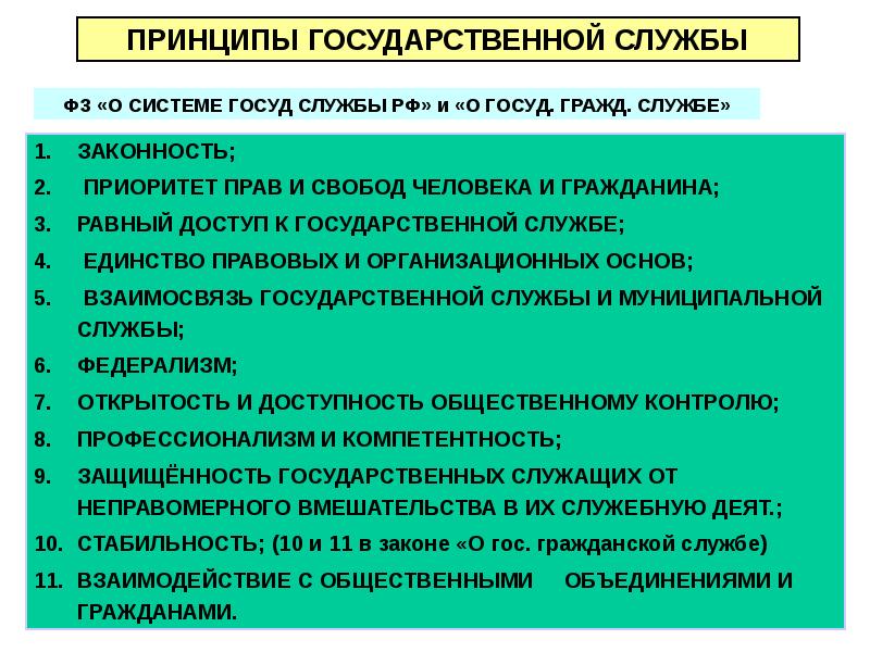 Государственный принцип. Принципы государственной службы. Принципы госуд службы. Принципы государственной службы схема. Принцип законности государственной службы.