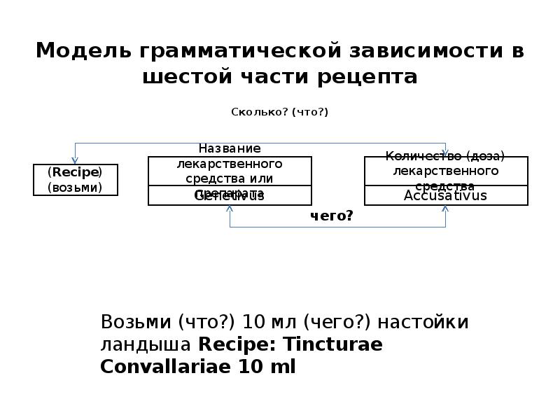 Модель грамматической зависимости в шестой части рецепта Сколько? (что?) Модель грамматической зависимости в шестой части рецепта Сколько? (что?)