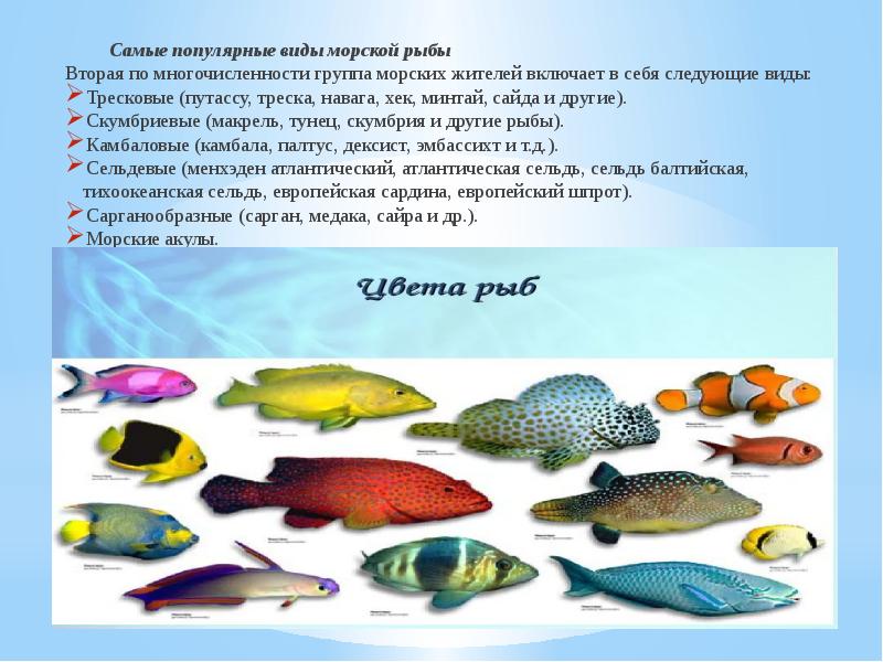 Самые популярные виды морской рыбы Вторая по многочисленности группа морских жителей