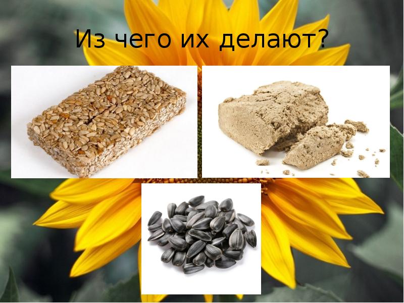 Из чего их делают?