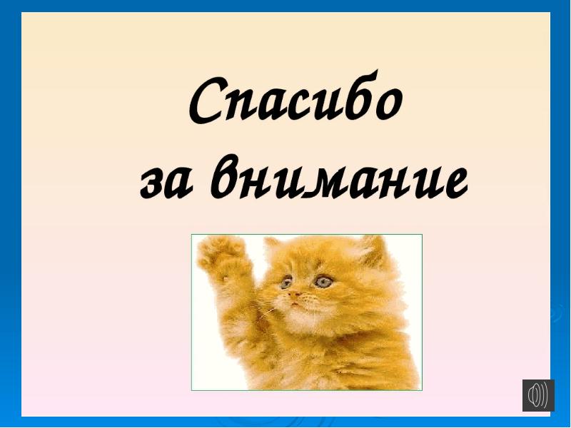 Презентация про котят