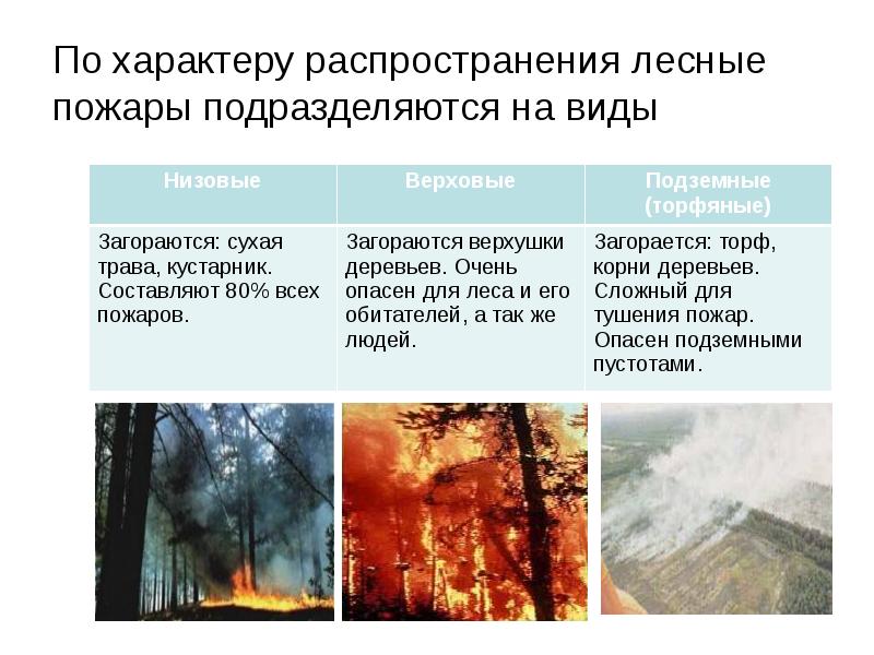 Верховые низовые подземные пожары. Лесные пожары подразделяются на. Низовые верховые и подземные пожары. Классификация лесных пожаров. Причины распространения лесных пожаров.