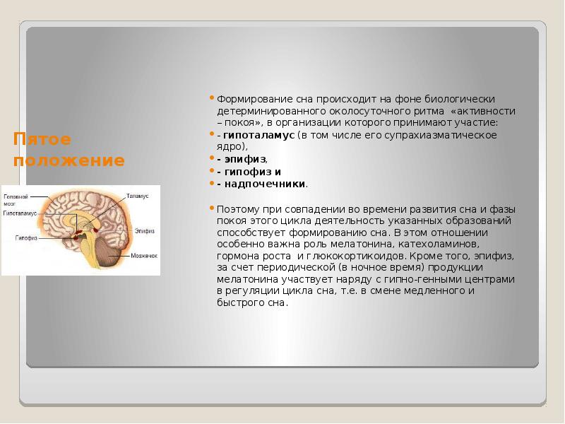 Физиология сна презентация