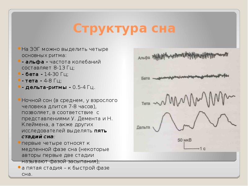 Альфа ритм. ЭЭГ-корреляты фаз сна.. Представленность Альфа ритма на ЭЭГ. Альфа ритм бета ритм тета ритм Дельта ритм ЭЭГ. Структура сна физиология.