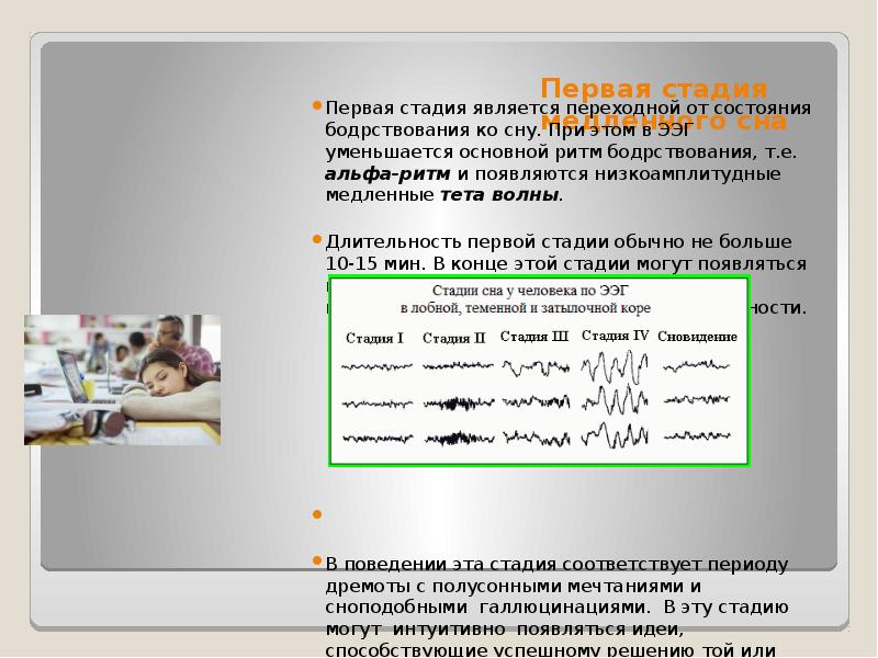 Физиология сна презентация