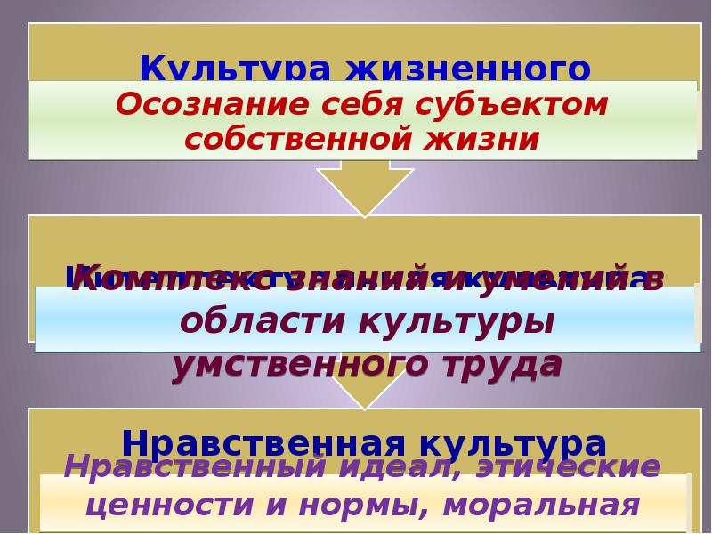 Формирование базовой культуры личности