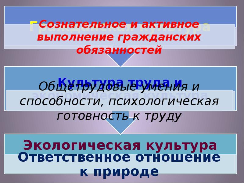 Компоненты базовой культуры личности