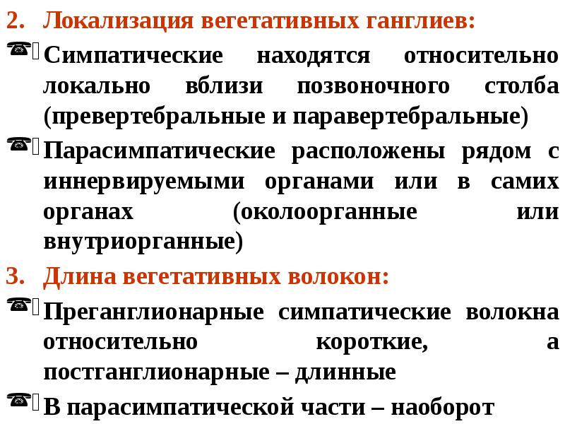 Функциональная анатомия вегетативной нервной системы презентация