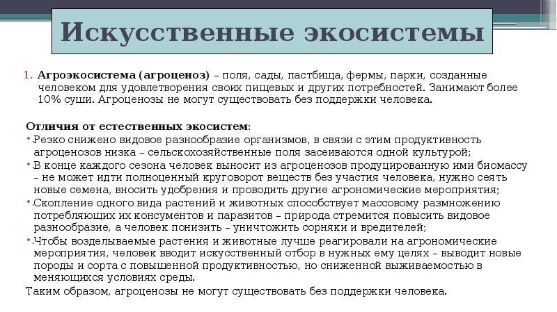 Описание искусственной системы