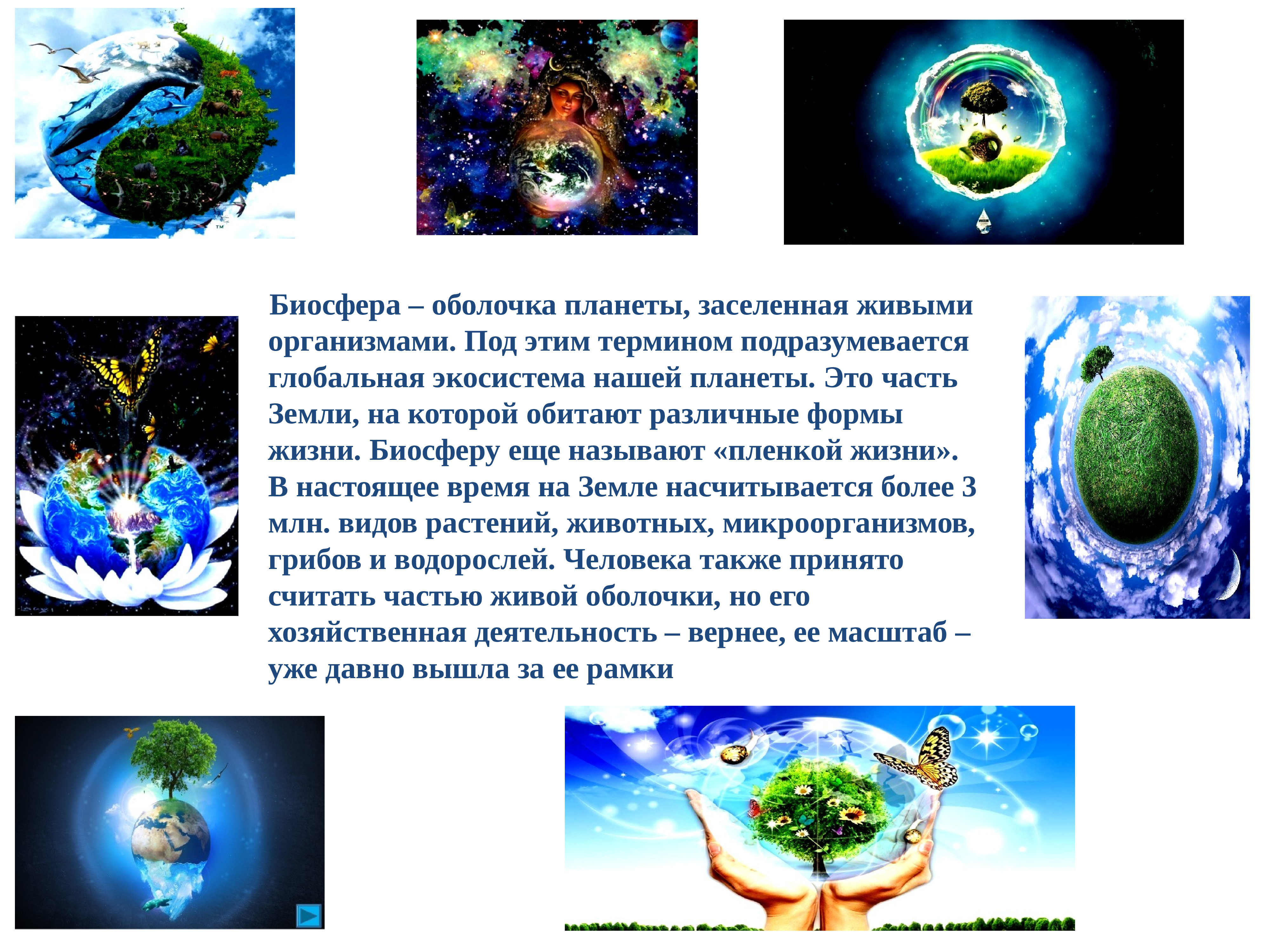 Живая планета текст. Презентация Живая Планета. Земля для презентации. Планета земля живые организмы. Живая Планета земля слайд.