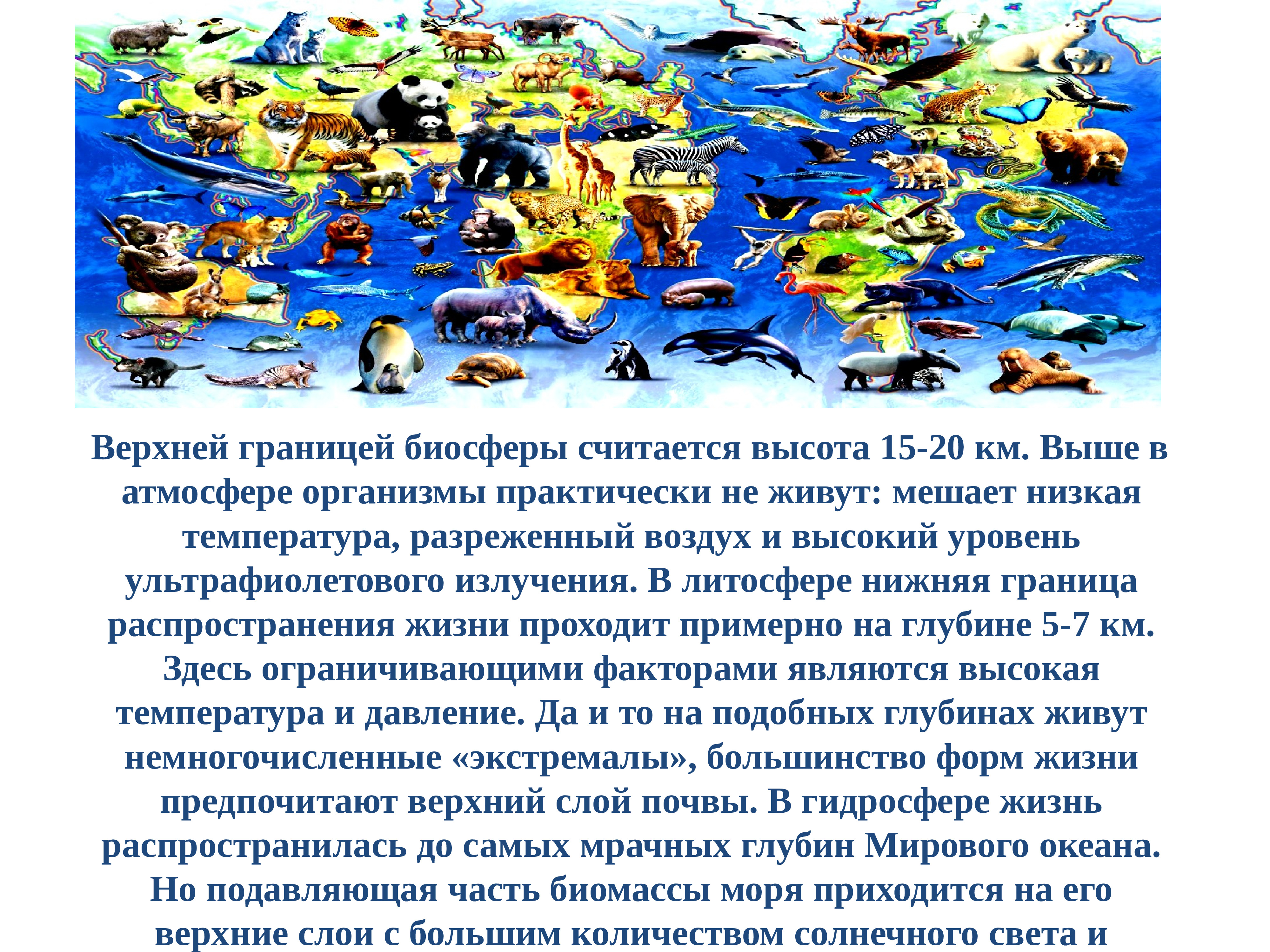 Сообщение на тему живой мир земли. Сообщение о планете земля 4 класс. Живая Планета земля.