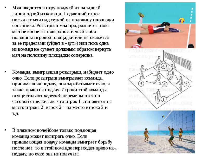 Подающий игрок. Игроки задней линии в волейболе. Презентация на тему волейбол по физкультуре игровая площадка. Как вводится мяч в игру в волейболе. Тест по физической культуре на тему волейбольная площадка.