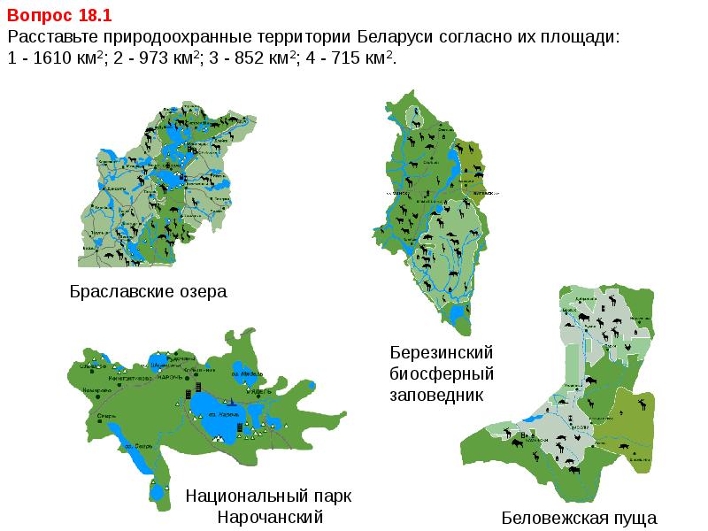 Карта березинского заповедника со спутника