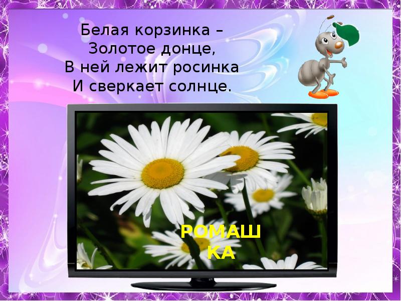 Засверкали на солнце росинки. Белая корзинка золотое Донце. Белая корзинка золотое Донце в ней лежит Росинка. Белая Росинка золотое Донце в ней лежит Росинка и сверкает солнце. Белая корзинка золотое Донце в ней отгадка.