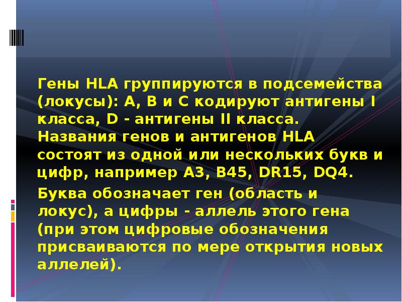 Гены HLA группируются в подсемейства (локусы): A, B и С кодируют Гены HLA группируются в подсемейства (локусы): A, B и С кодируют