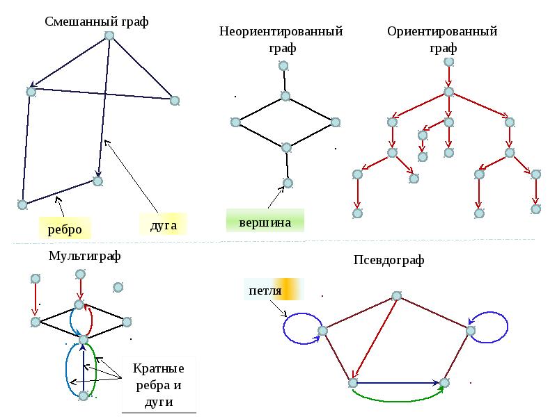 Диаметр дерева это количество ребер максимальной цепи. Типы графов в дискретной математике. Типы графов в математике. Типы графов в информатике.