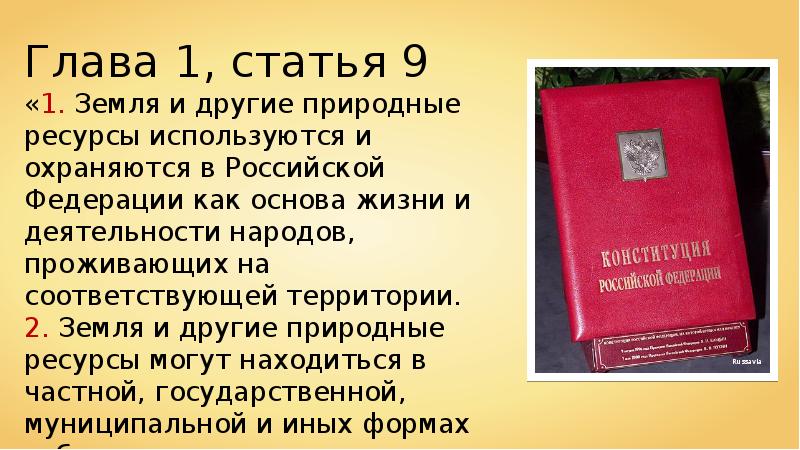 Законы об охране животного мира система мониторинга презентация 7 класс