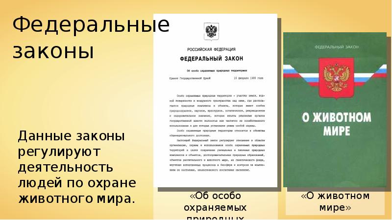 Презентация законы россии об охране животного мира система мониторинга 7 класс латюшин